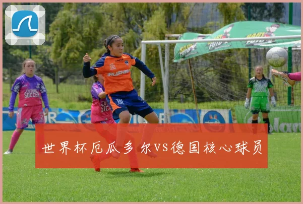 世界杯厄瓜多尔vs德国核心球员
