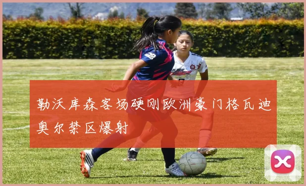 勒沃库森客场硬刚欧洲豪门格瓦迪奥尔禁区爆射