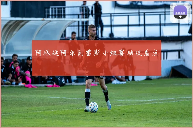 阿根廷阿尔瓦雷斯小组赛助攻看点
