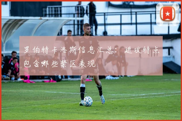 罗伯特卡洛斯信息汇总:进攻特点包含哪些禁区表现