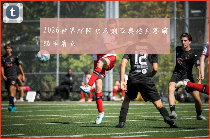 2026世界杯阿尔及利亚奥地利赛前赔率看点