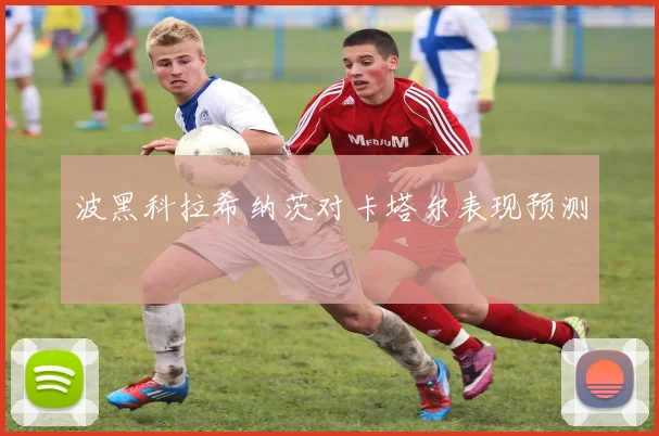 波黑科拉希纳茨对卡塔尔表现预测