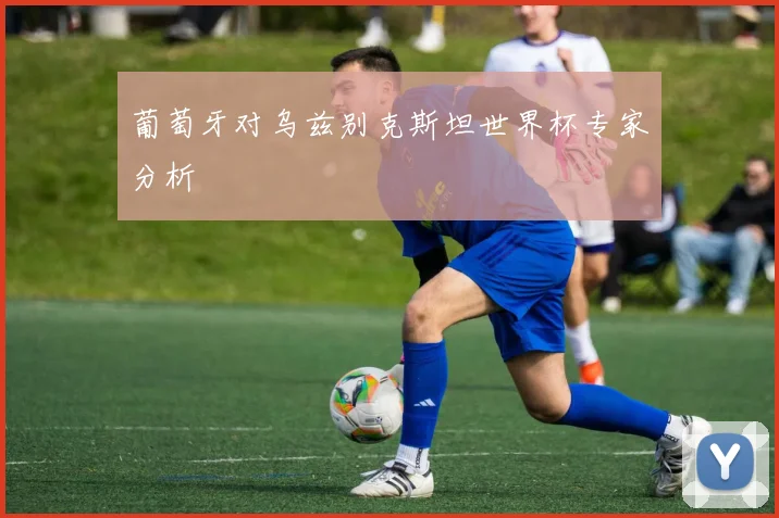 葡萄牙对乌兹别克斯坦世界杯专家分析